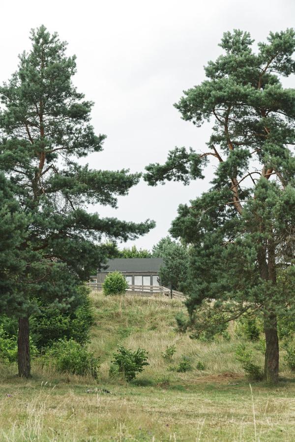 Domki W Lesie Gdansk 35 Km Bozepole Krolewskie Экстерьер фото